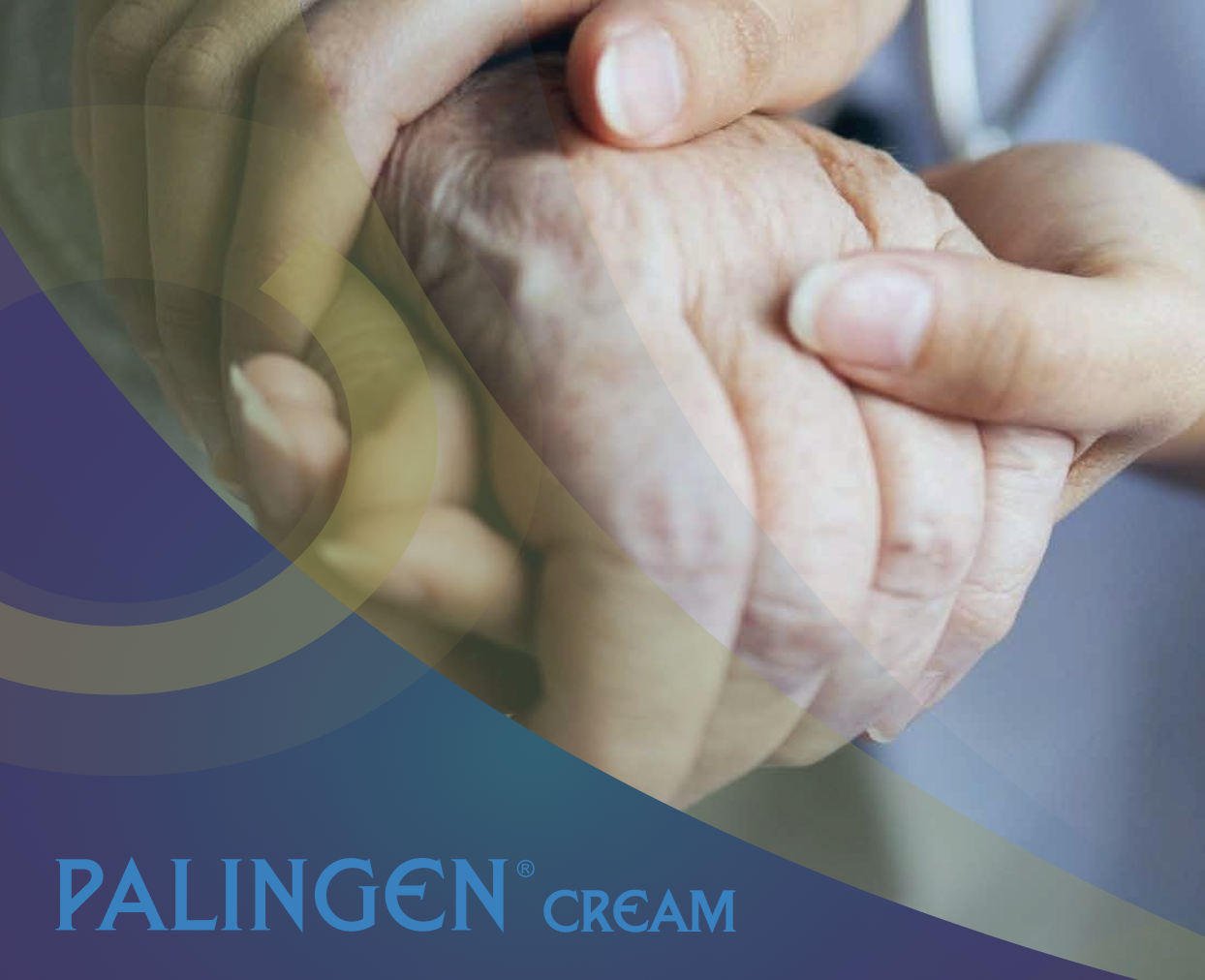 بروشور الشركة